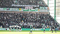 21828486.jpg