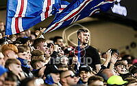 21768526.jpg