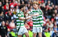 PD-Celt_(5).jpg