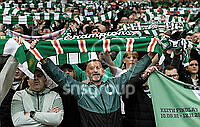 21796463.jpg