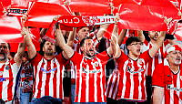 21361648.jpg