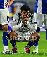 21788470.jpg