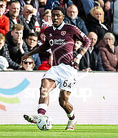 21815840.jpg