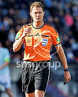 21818613.jpg
