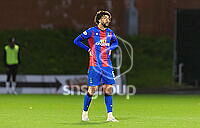 21817991.jpg